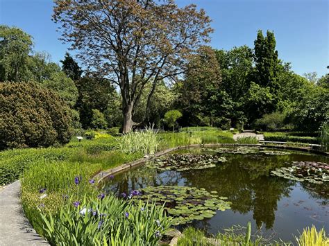  Kanji Lake: Krystalicznie Czysta Oaza Spokoju w Sercu Kano!